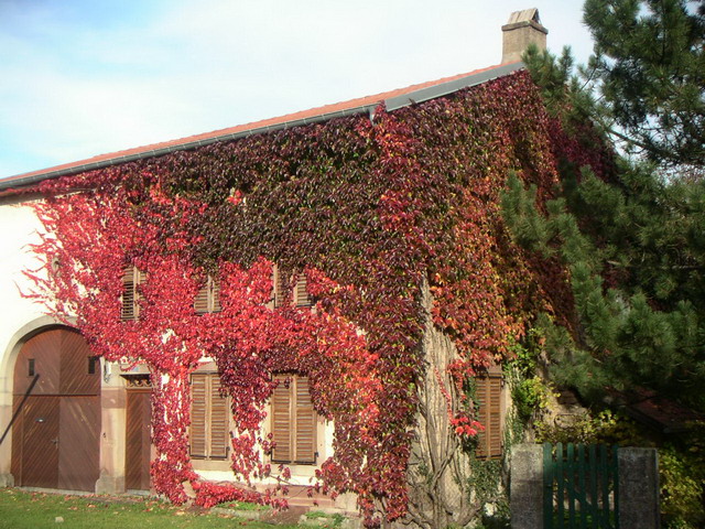 gal/Lothringen_Frankreich/PICT0031.JPG