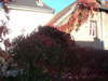 gal/Lothringen_Frankreich/_thb_PICT0005.JPG