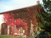 gal/Lothringen_Frankreich/_thb_PICT0031.JPG